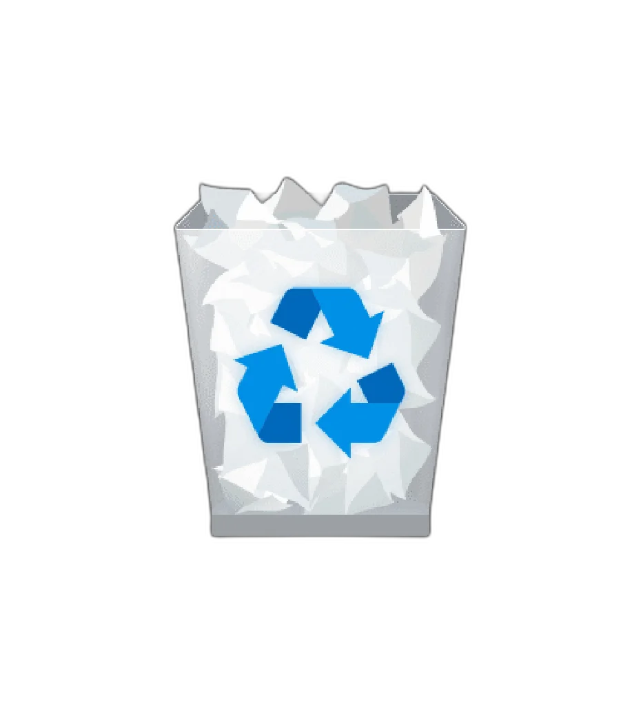 Deleted File Recovery