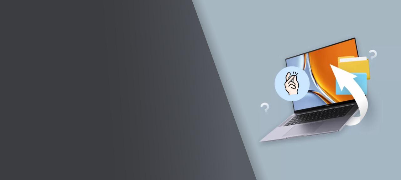 Laptop Data Recovery Services