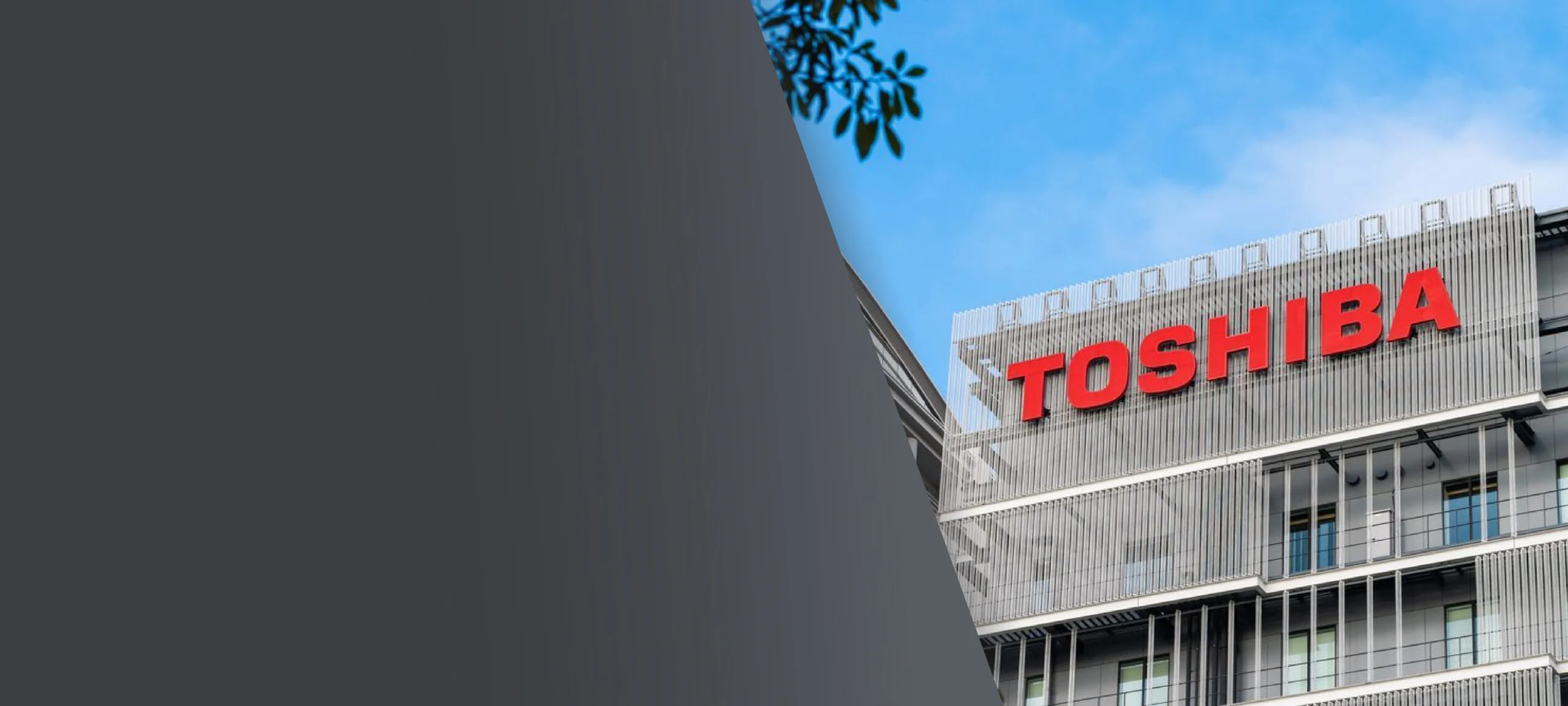 Toshiba Data Recovery Services